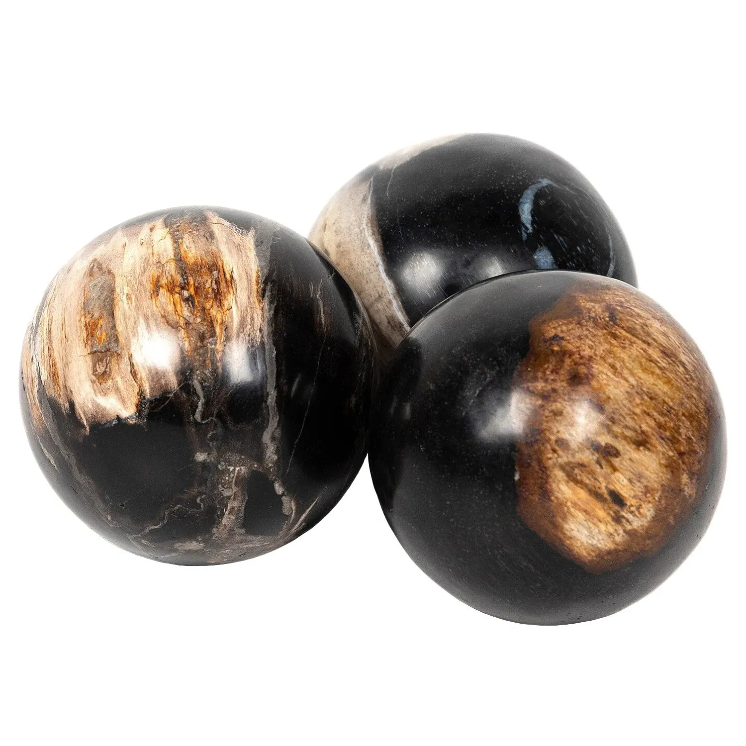 Conor Round Decorative Objects Set - Black, Wood