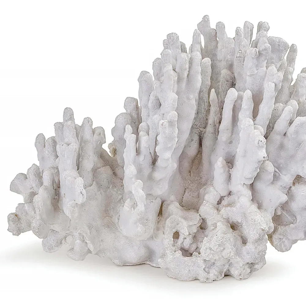 Coral Decorative Sculpture - White, Resin
