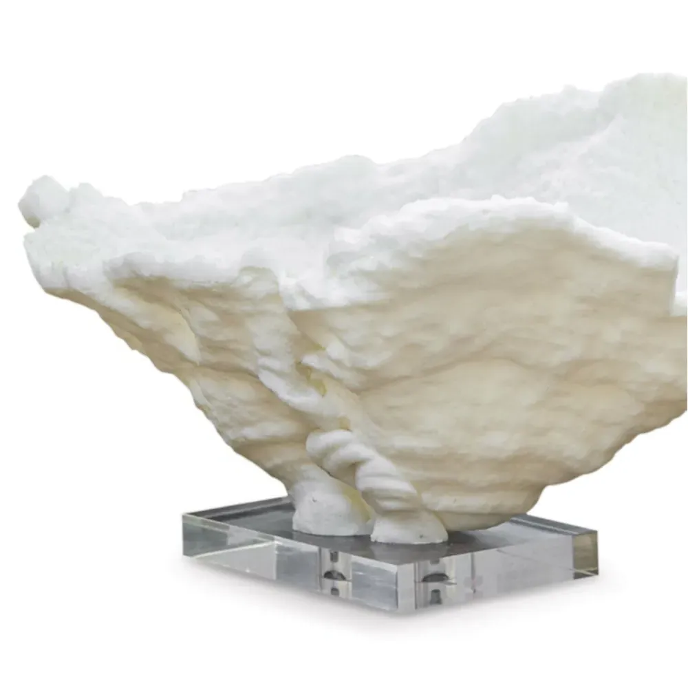 Coral Reef Large Bowl - White, Resin