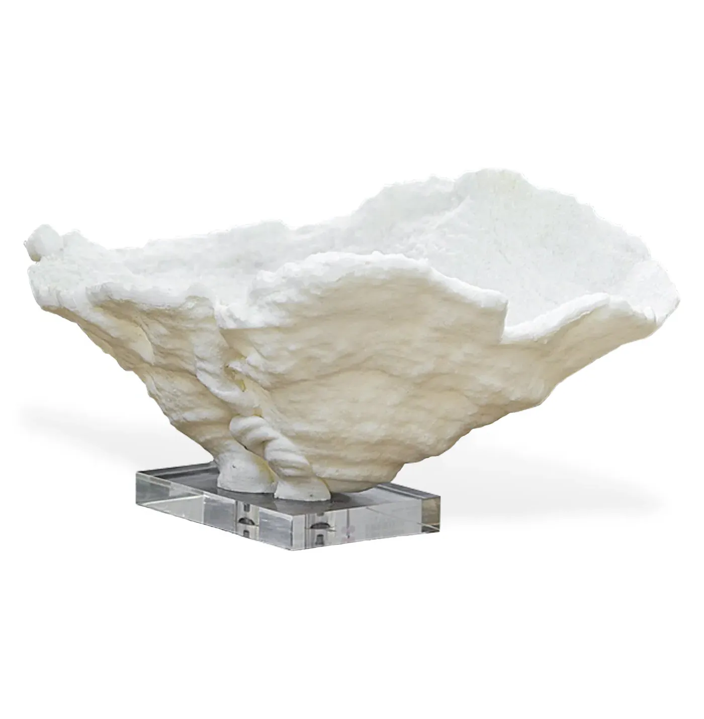 Coral Reef Large Bowl - White, Resin image