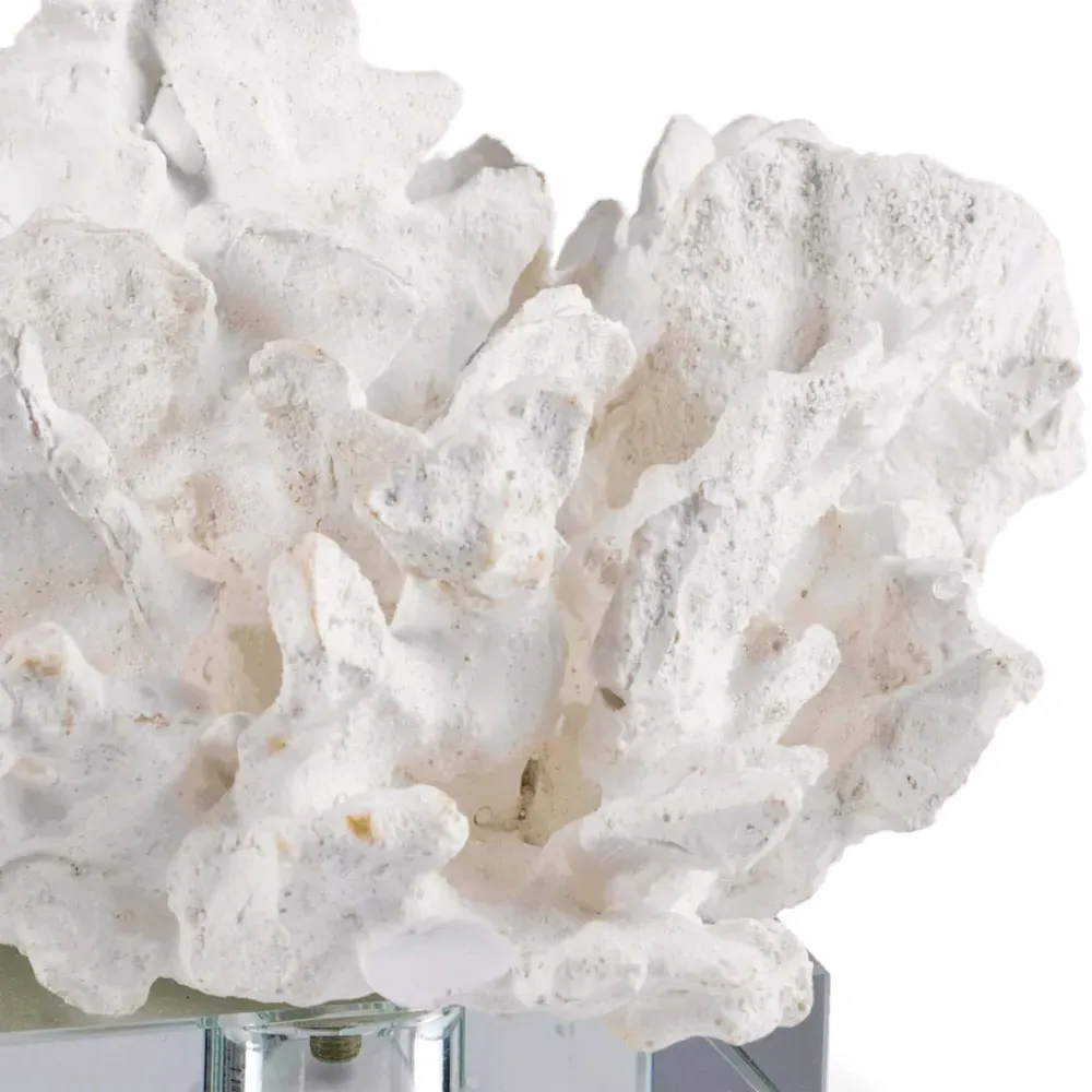 Coral Sculpture with Clear Base - White