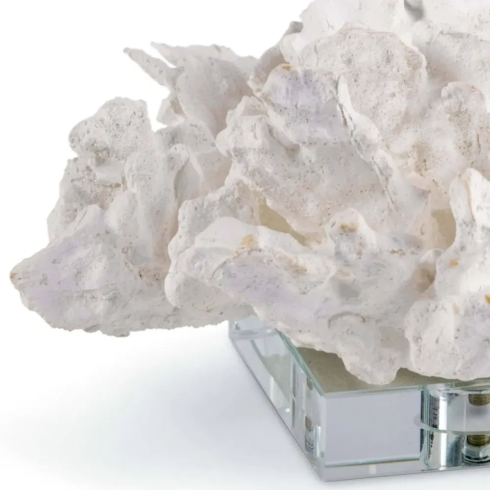 Coral Sculpture with Clear Base - White