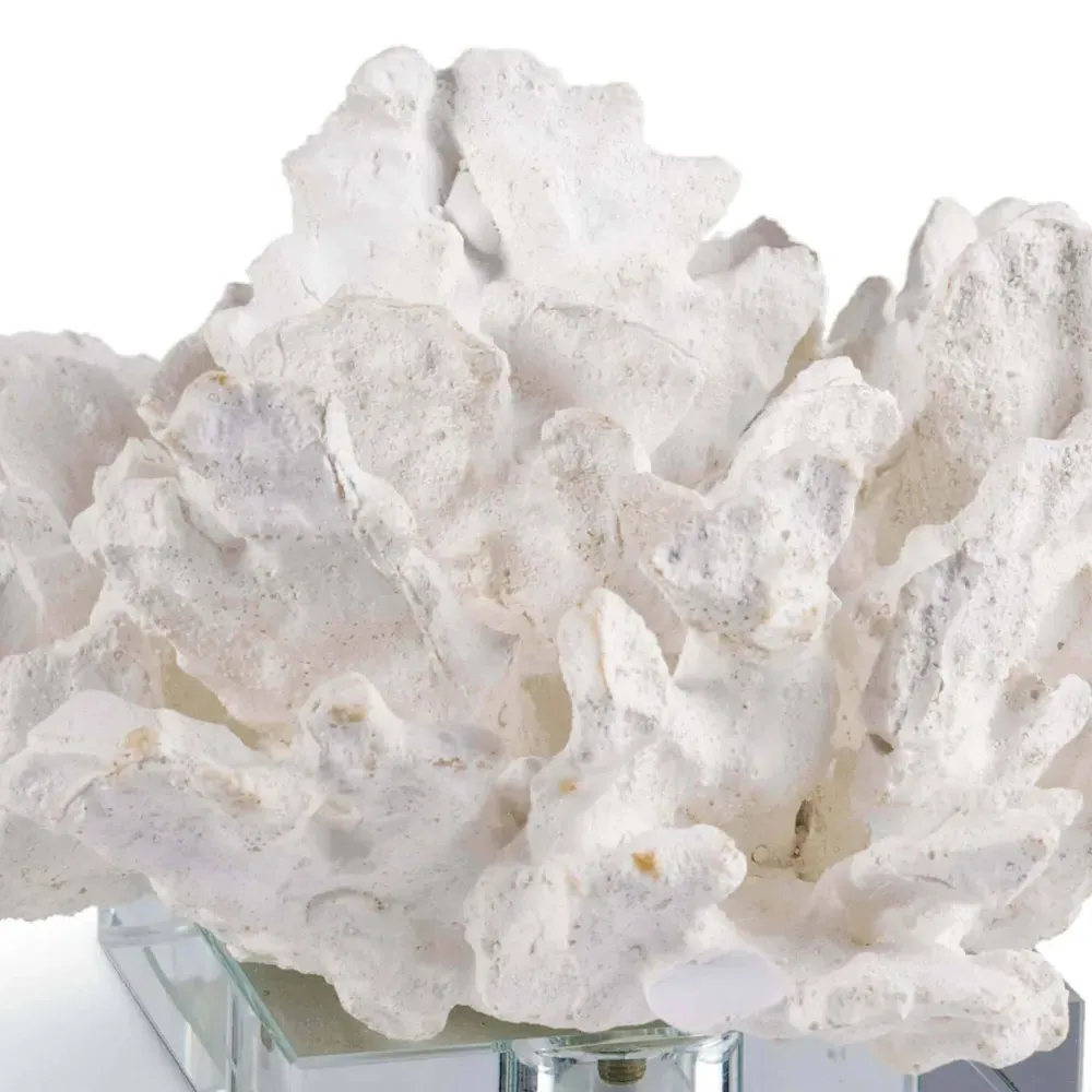 Coral Sculpture with Clear Base - White