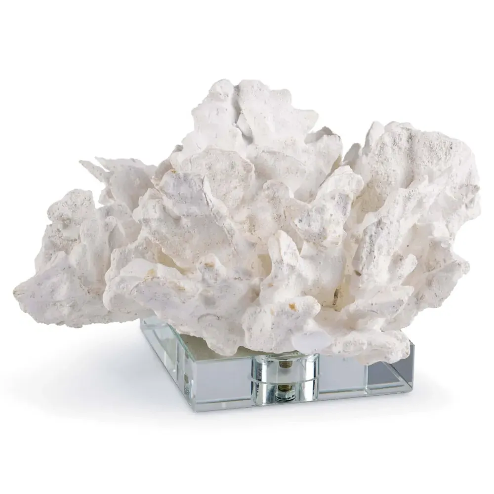 Coral Sculpture with Clear Base - White image