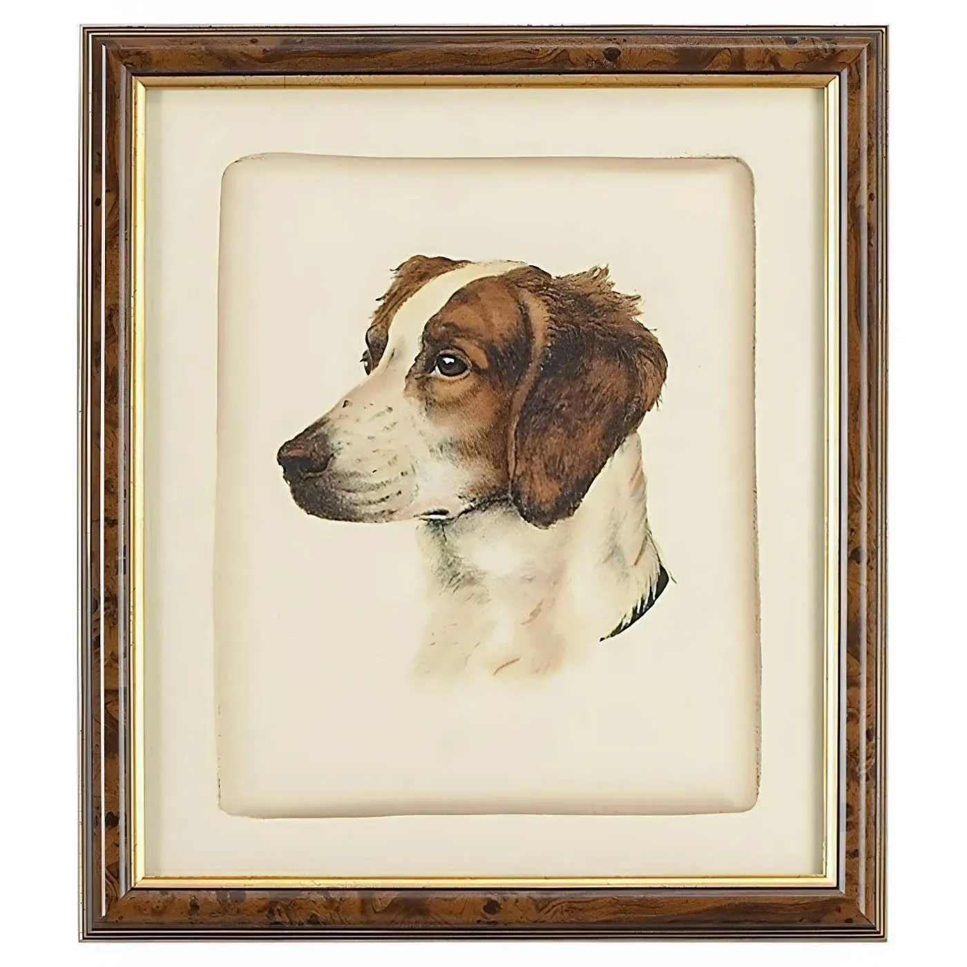 Corvin Brittany Spaniel Framed Illustration - Brown image