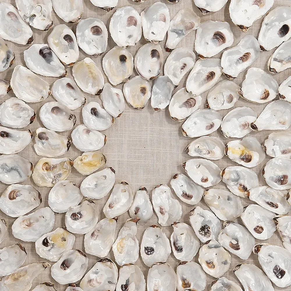 Damien Circular Wall Art - White, Abalone Shell