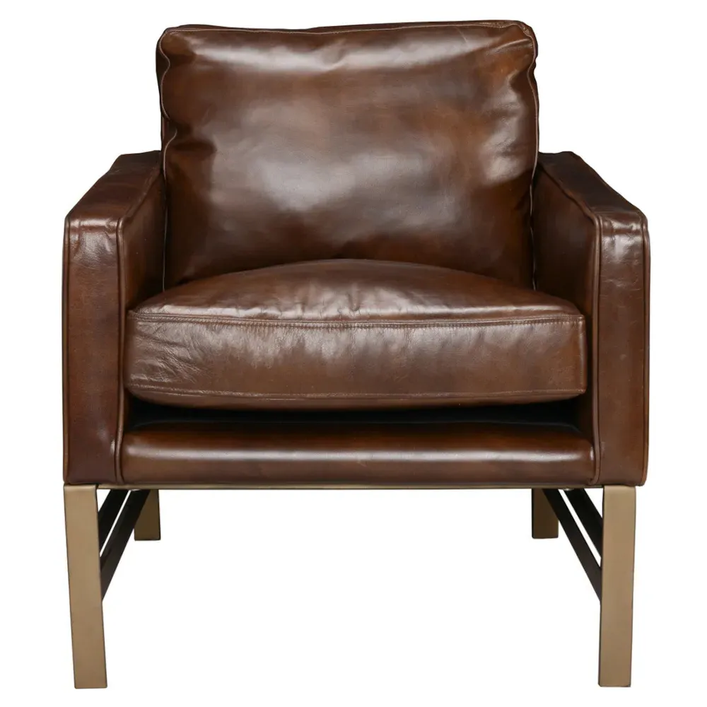 Danny Arm Chair - Brown, Leather