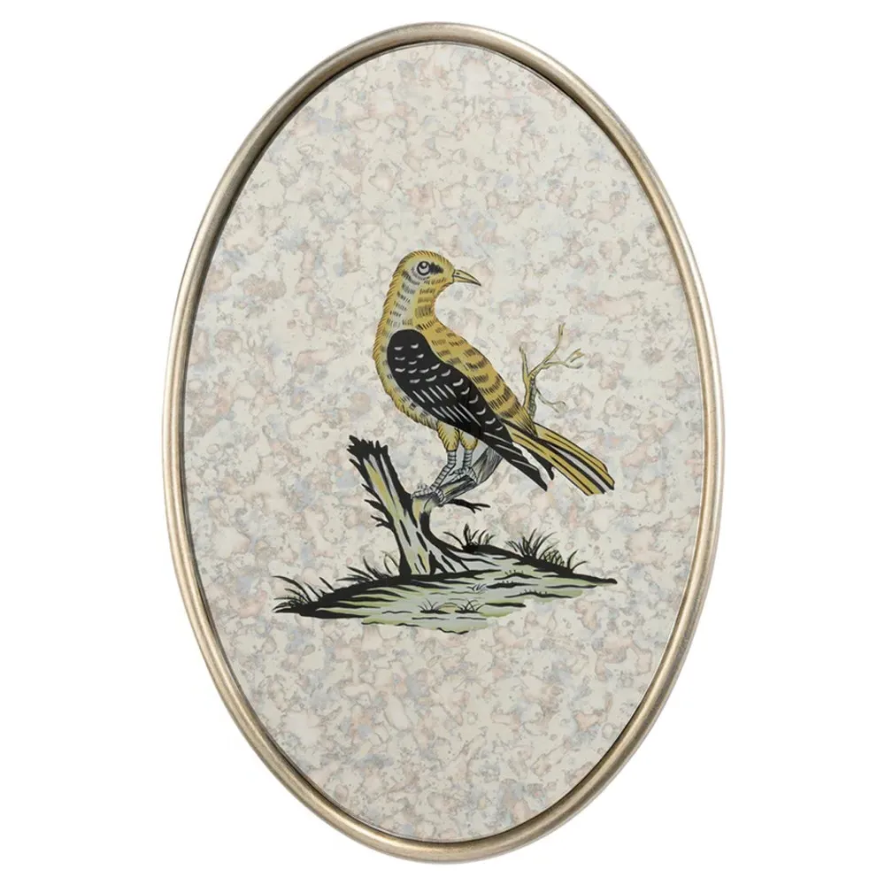 Delara Oval Antiqued Mirror with Bird Motif - Yellow, Wood image