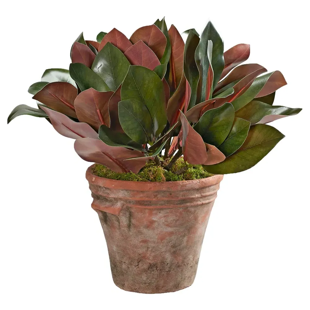 Dorian Faux Magnolia Leaf Planter - Green