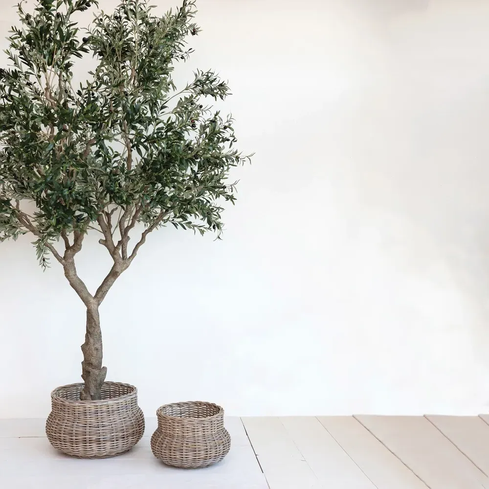 Edith Faux Olive Tree - Green