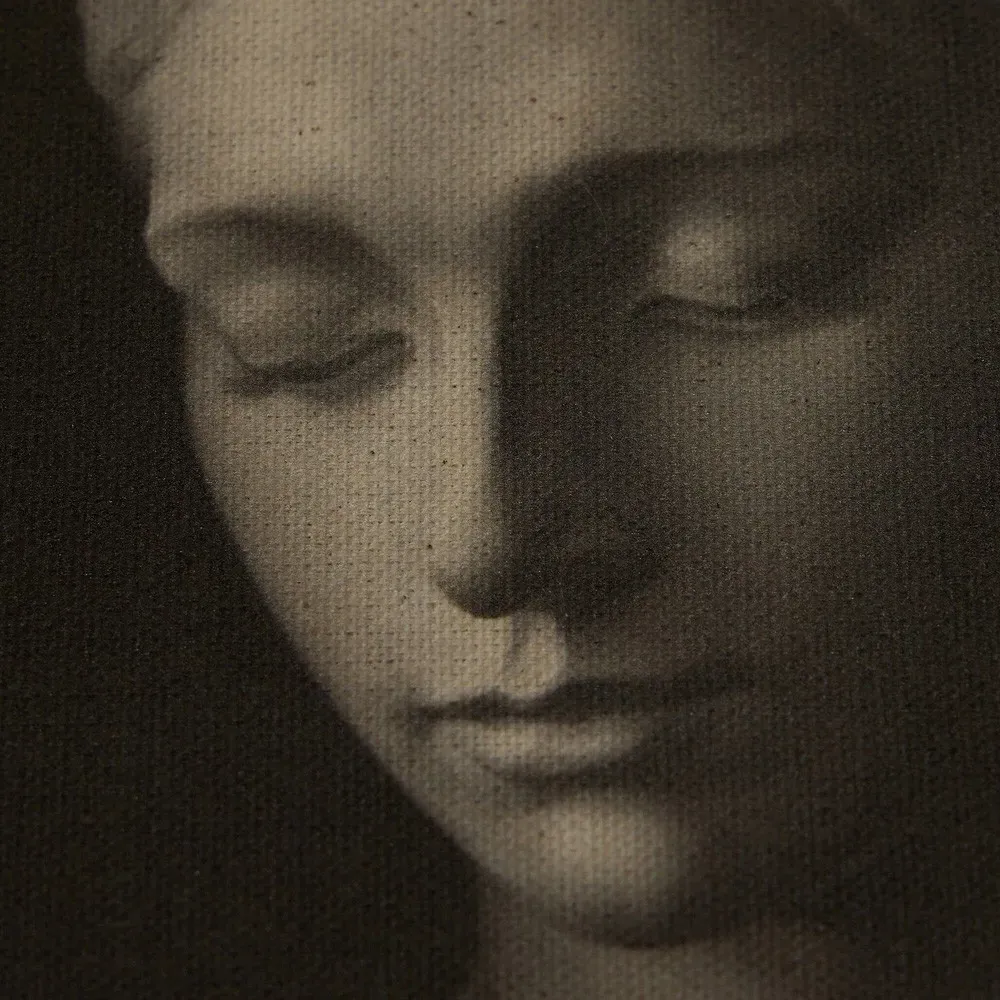 Elowen Portrait Weathered Pine Frame Painting - Black