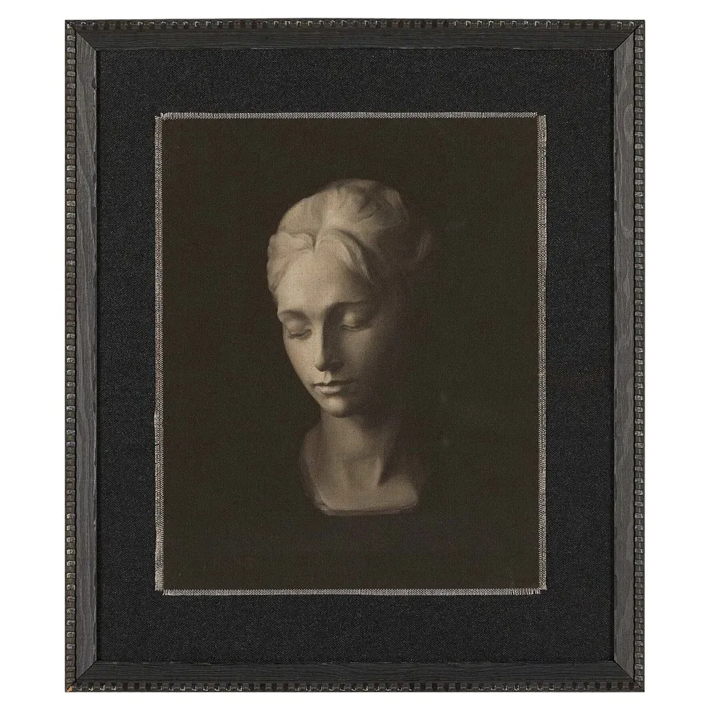 Elowen Portrait Weathered Pine Frame Painting - Black