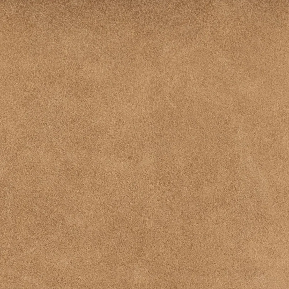 Ely Bar Stool - Beige, Parawood