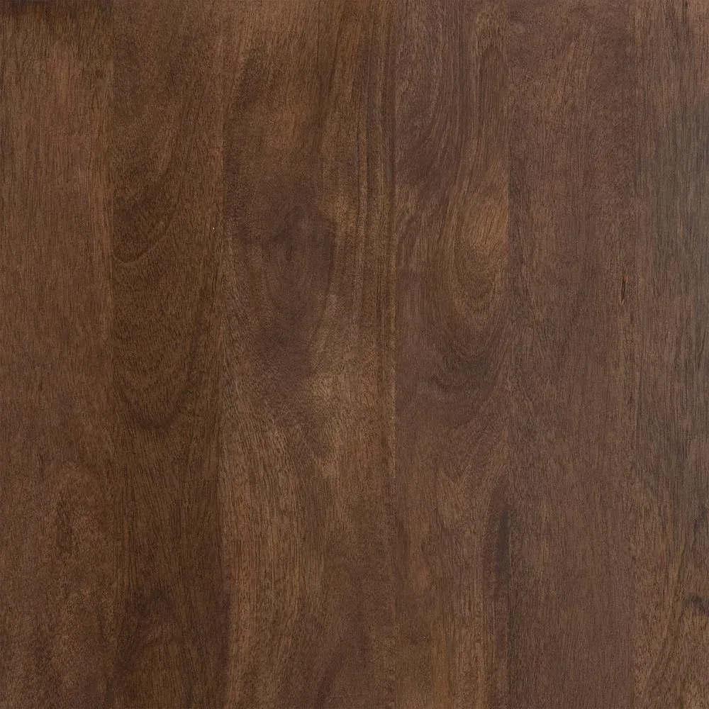 Emilie 2 Door Media Cabinet - Brown, Mango Wood