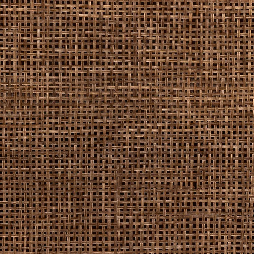 Emilie 2 Door Media Cabinet - Brown, Mango Wood