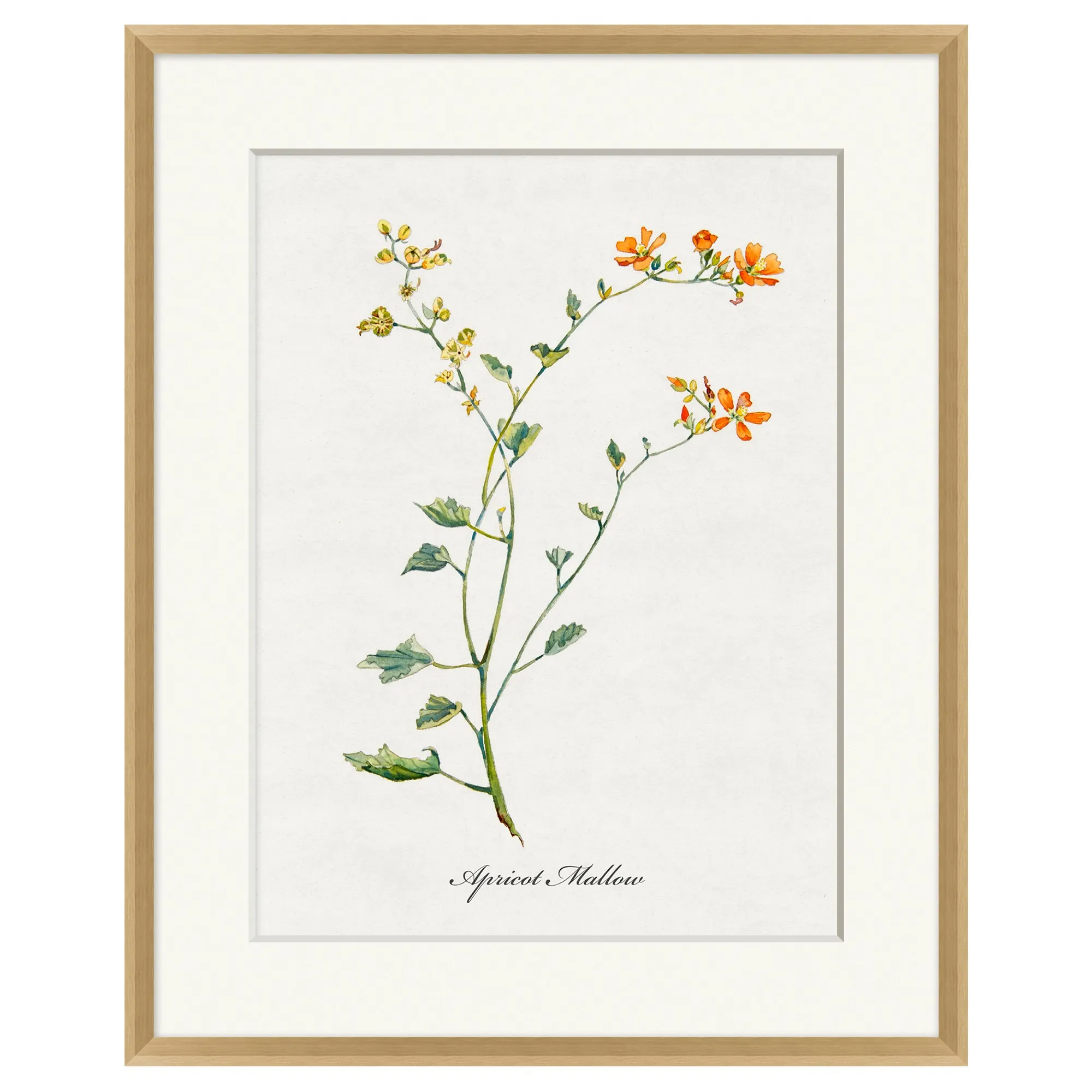 Emily Floral Botanical Frame Painting 1 - White-Ivory image