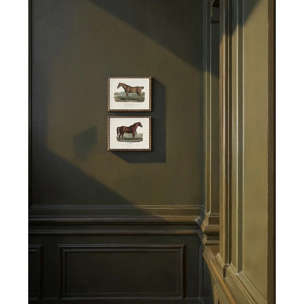 Evelaine Horse Illustration - Brown, Gold Frame