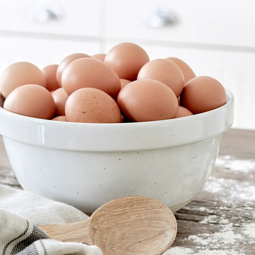 Fattoria Large Mixing Bowl - White, Stoneware