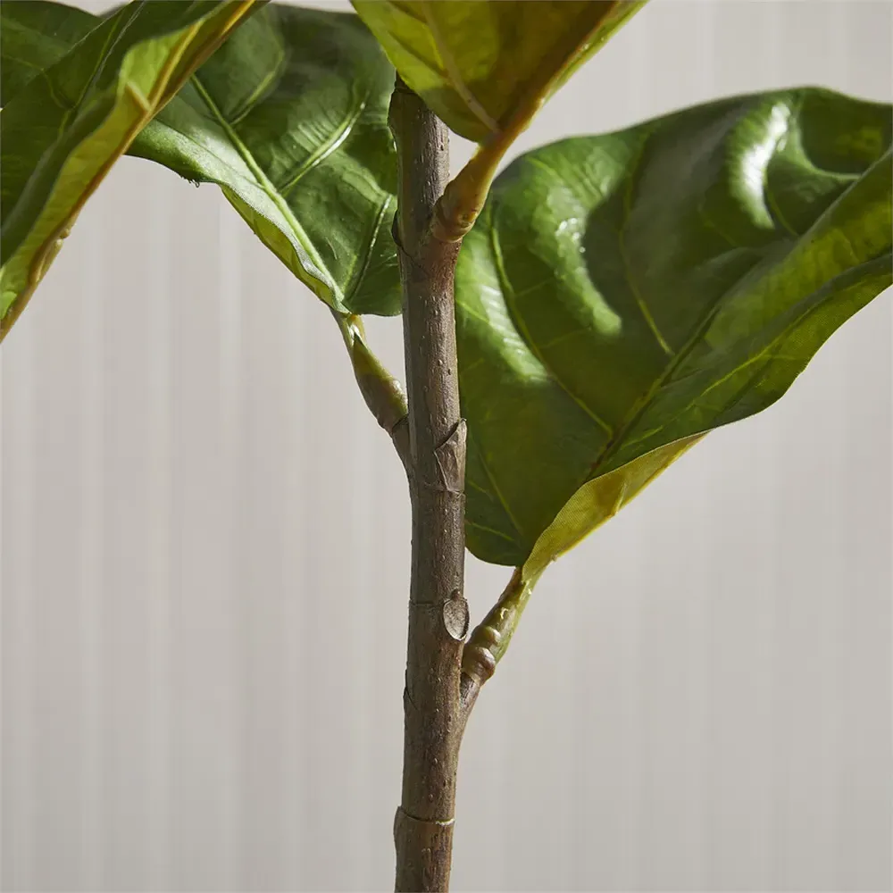 Fida Small Fiddle Leaf Fig Tree - Green, Ceramic