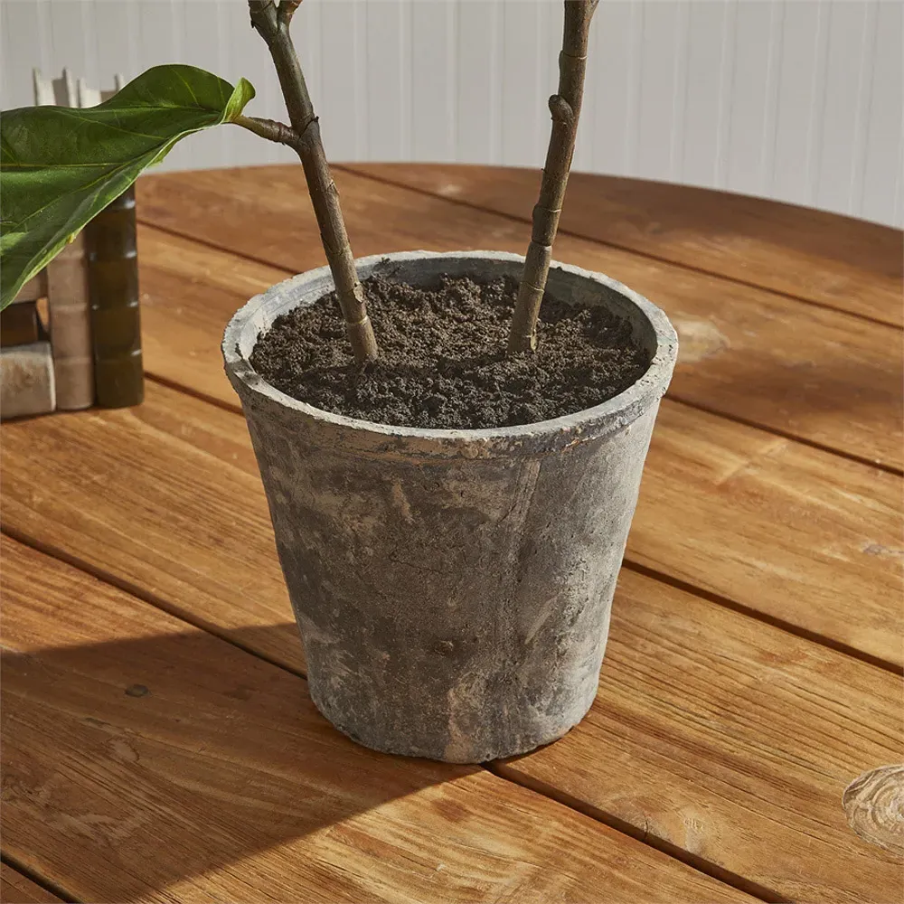 Fida Small Fiddle Leaf Fig Tree - Green, Ceramic