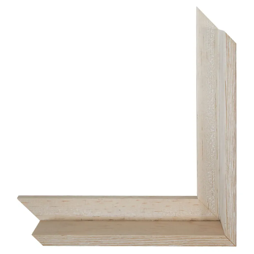 Flora Abstract Frame Painting I - White, Canvas