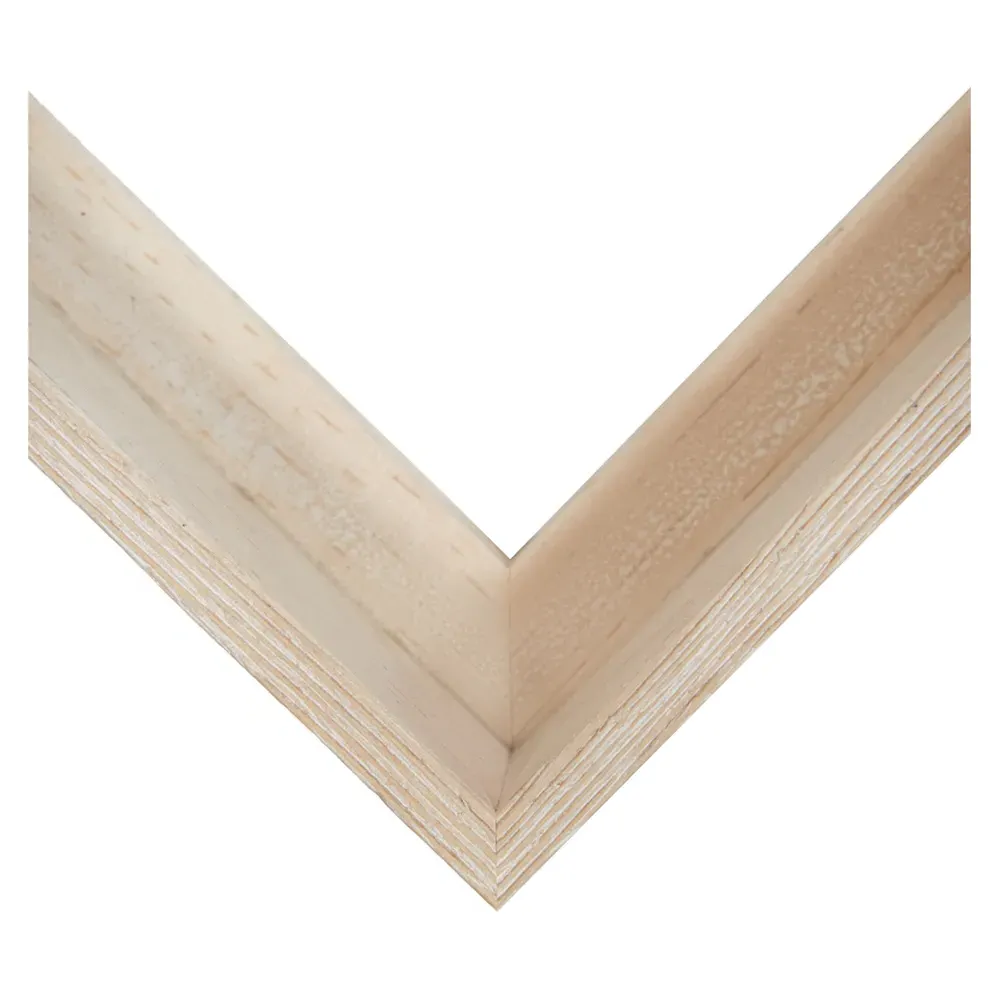 Flora Abstract Frame Painting I - White, Canvas