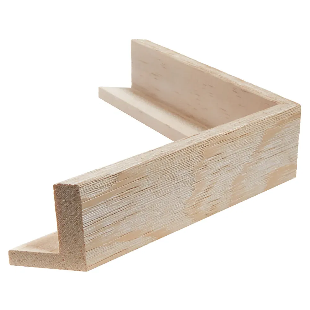 Flora Abstract Frame Painting I - White, Canvas