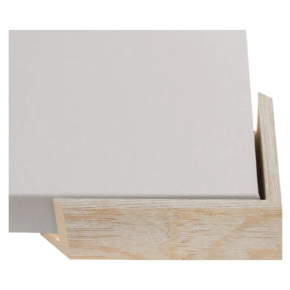 Flora Abstract Frame Painting II - White, Canvas