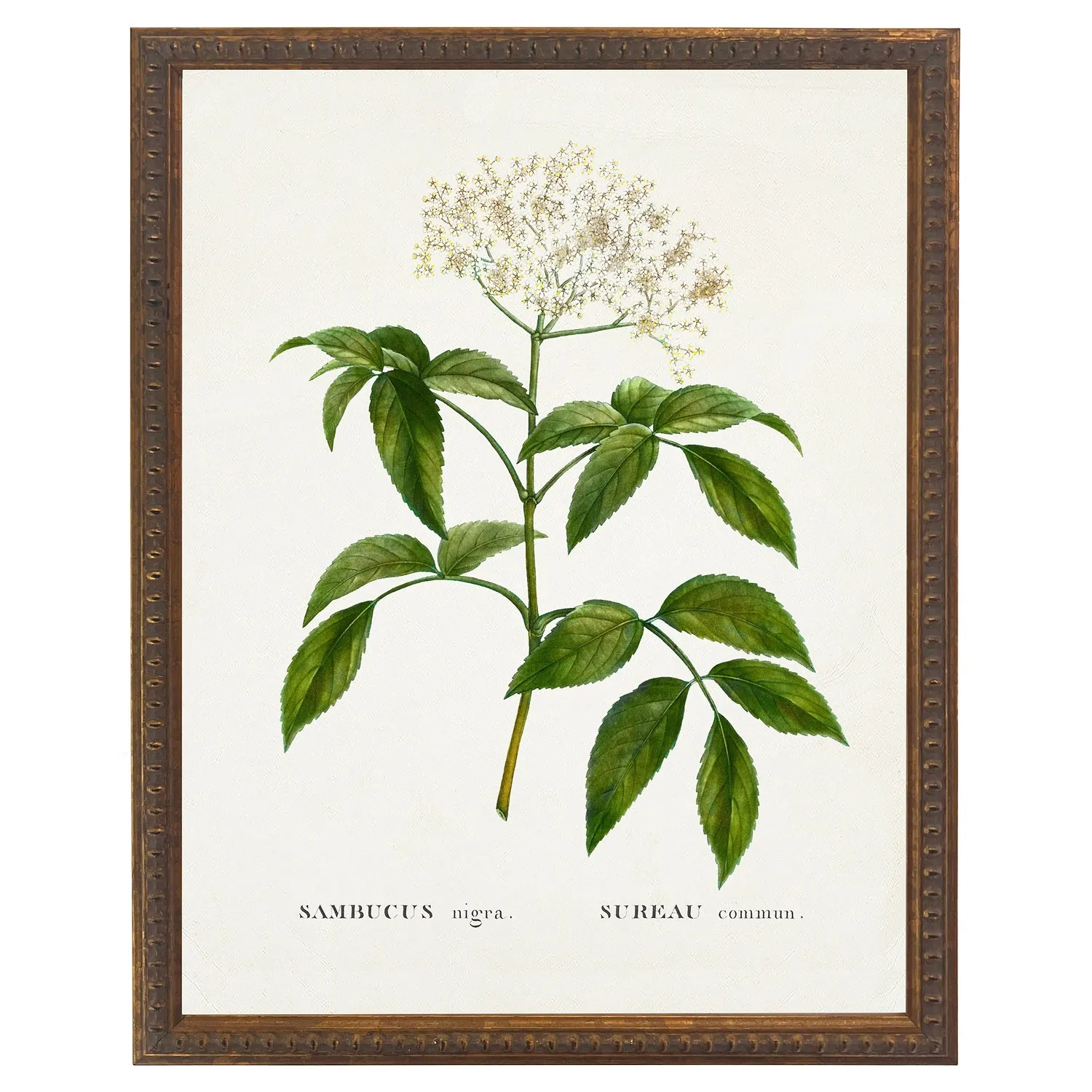 Florienne Floral Gold Beaded Frame Illustration - Green image