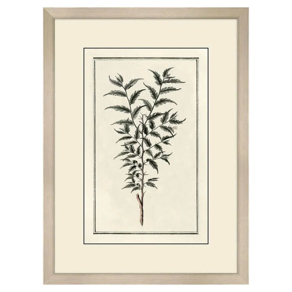 Gael Botanical Silver Frame Illustration - Green image