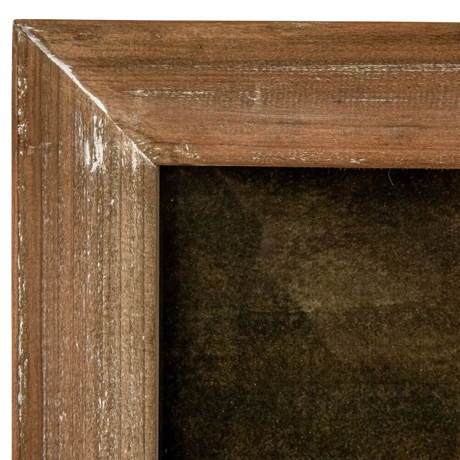 Harlan Citrus Still Life Framed Illustration - Brown