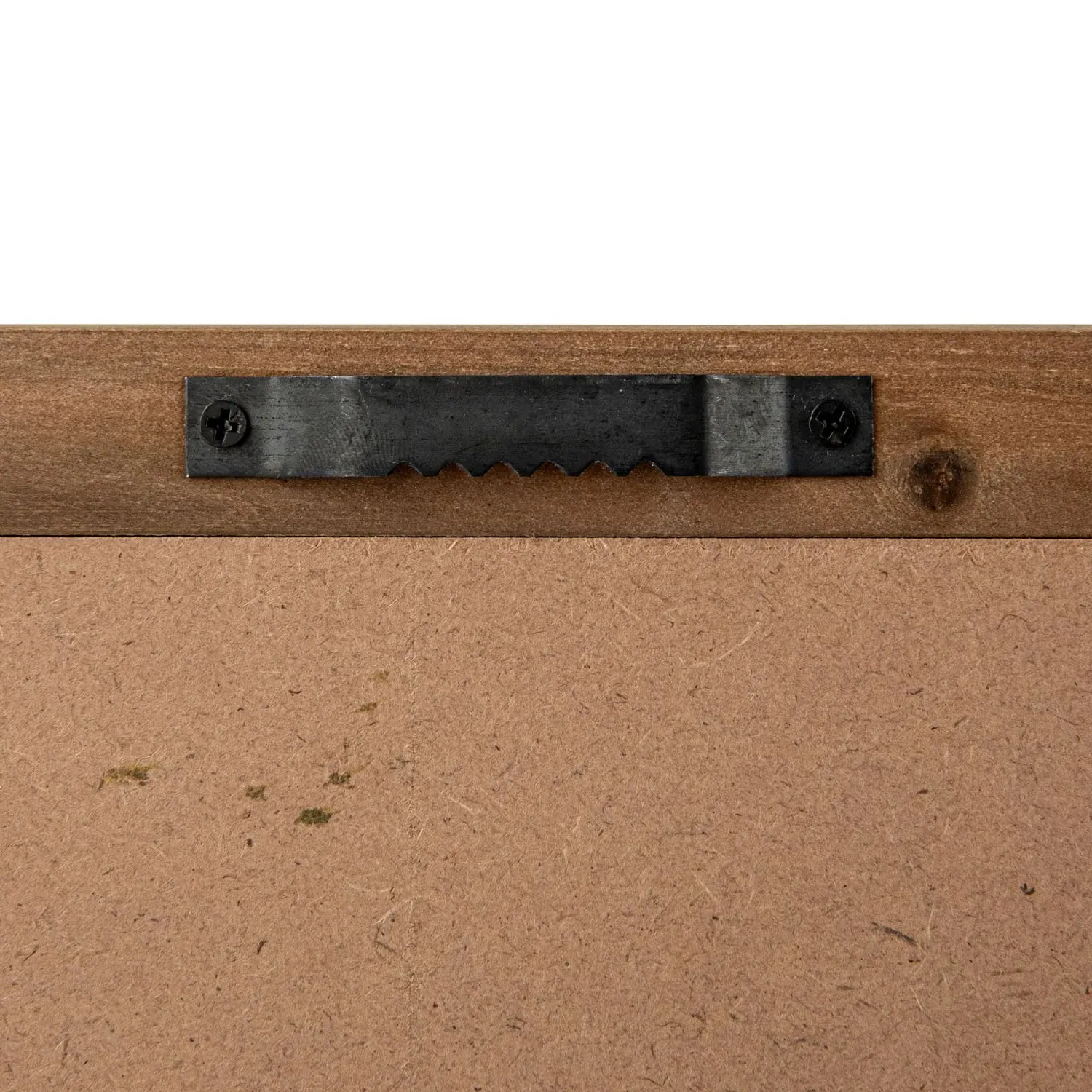 Harlan Citrus Still Life Framed Illustration - Brown