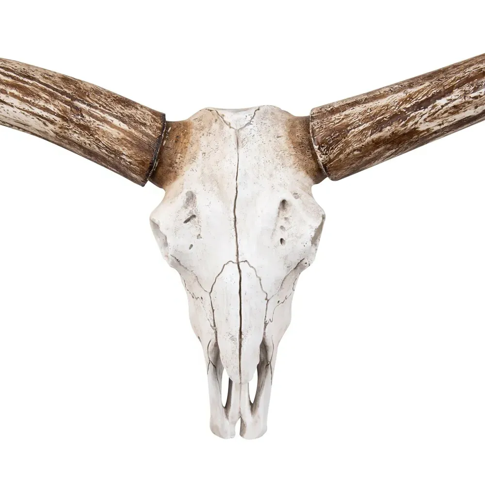 Henri Steer Skull Wall Decor - White, Resin