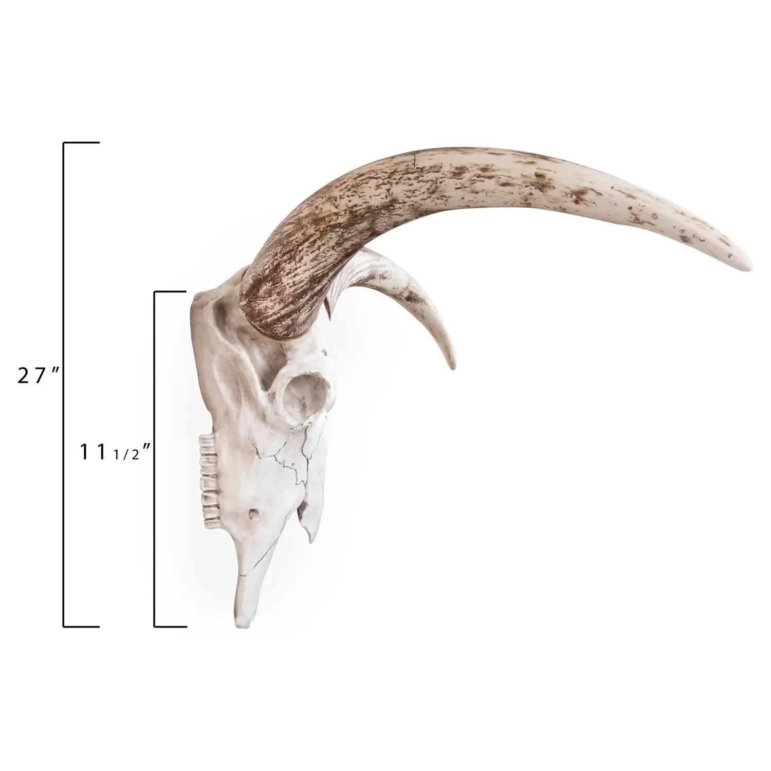 Henri Steer Skull Wall Decor - White, Resin