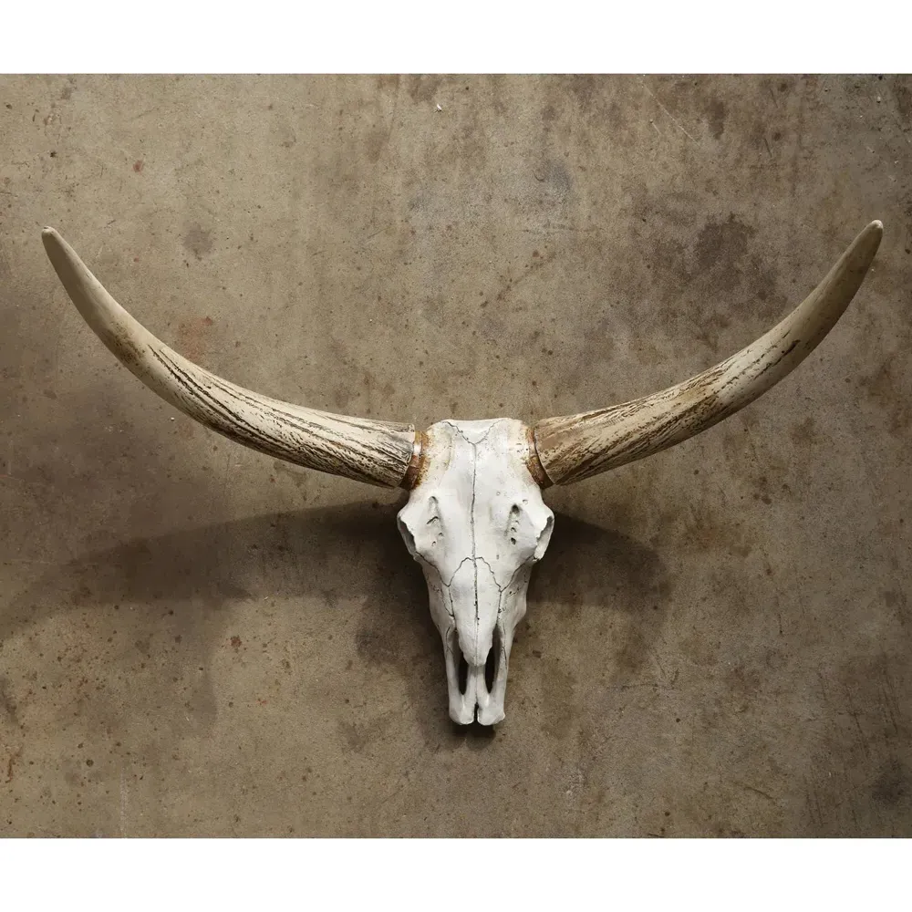 Henri Steer Skull Wall Decor - White, Resin