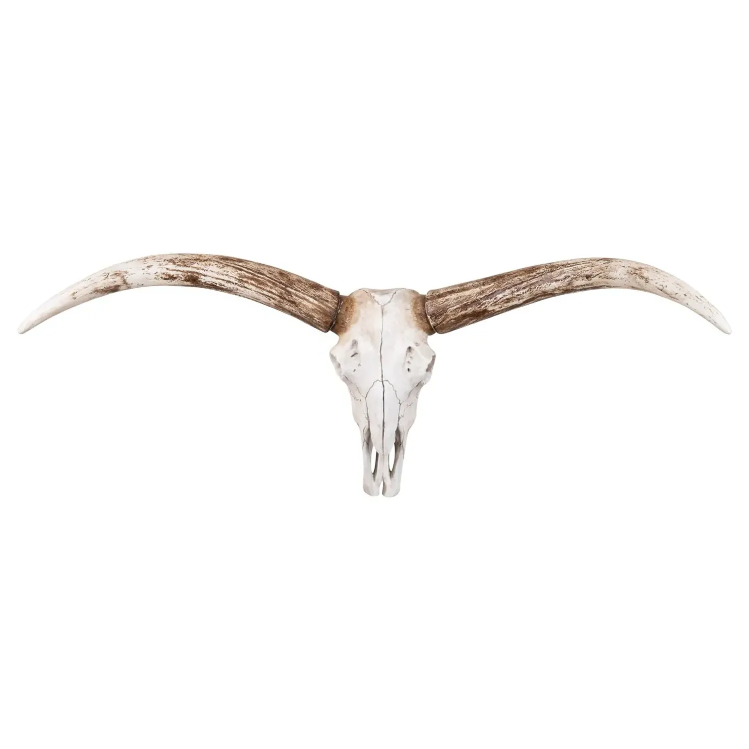 Henri Steer Skull Wall Decor - White, Resin image