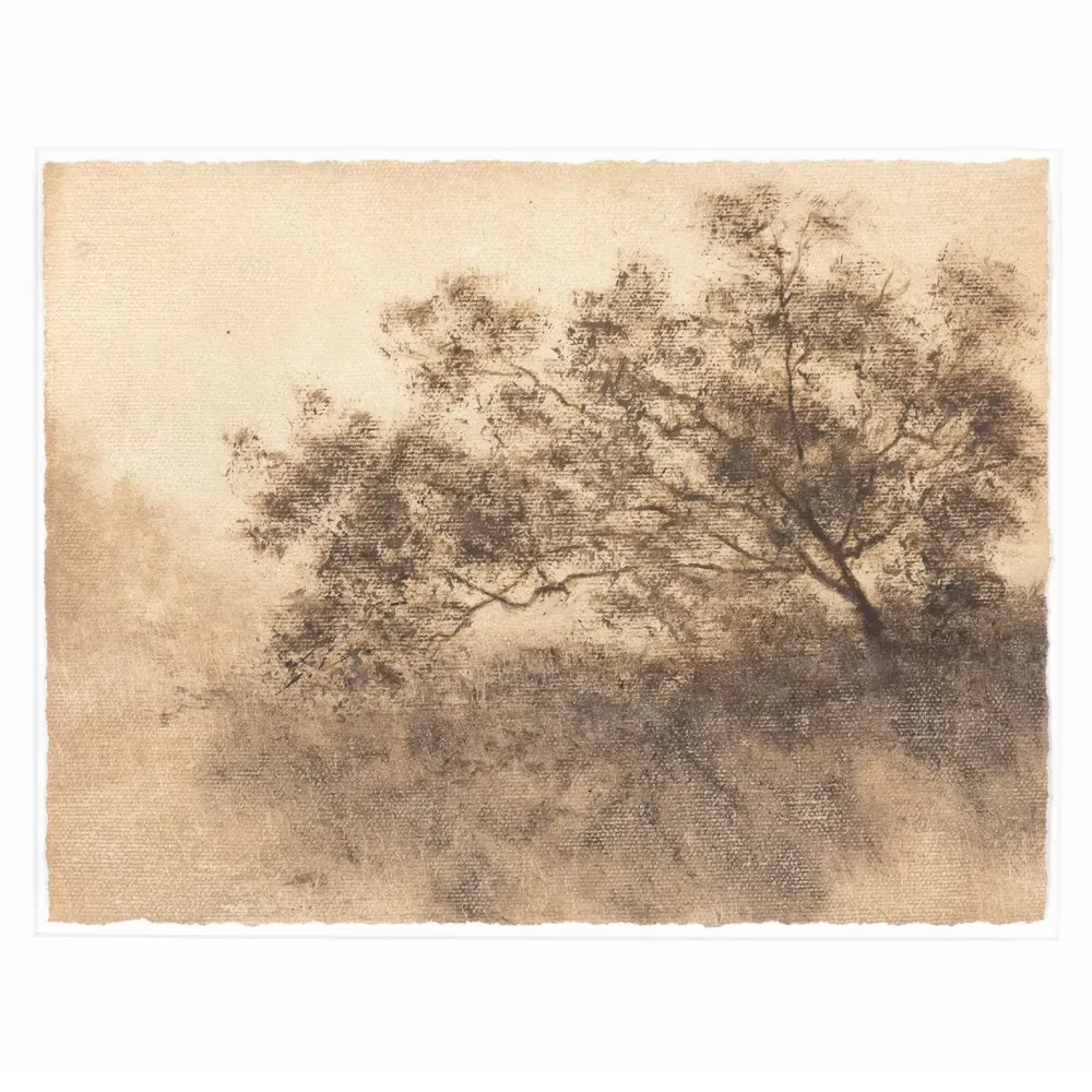 Hillside Haze X Wall Art - Brown, Canvas