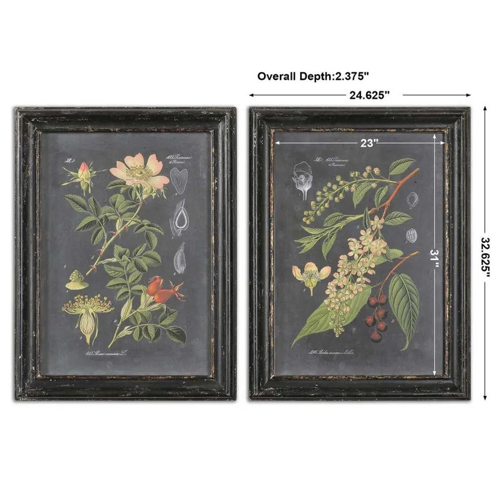 Indie French Country Botanical Diptych Illustration - Green, Black
