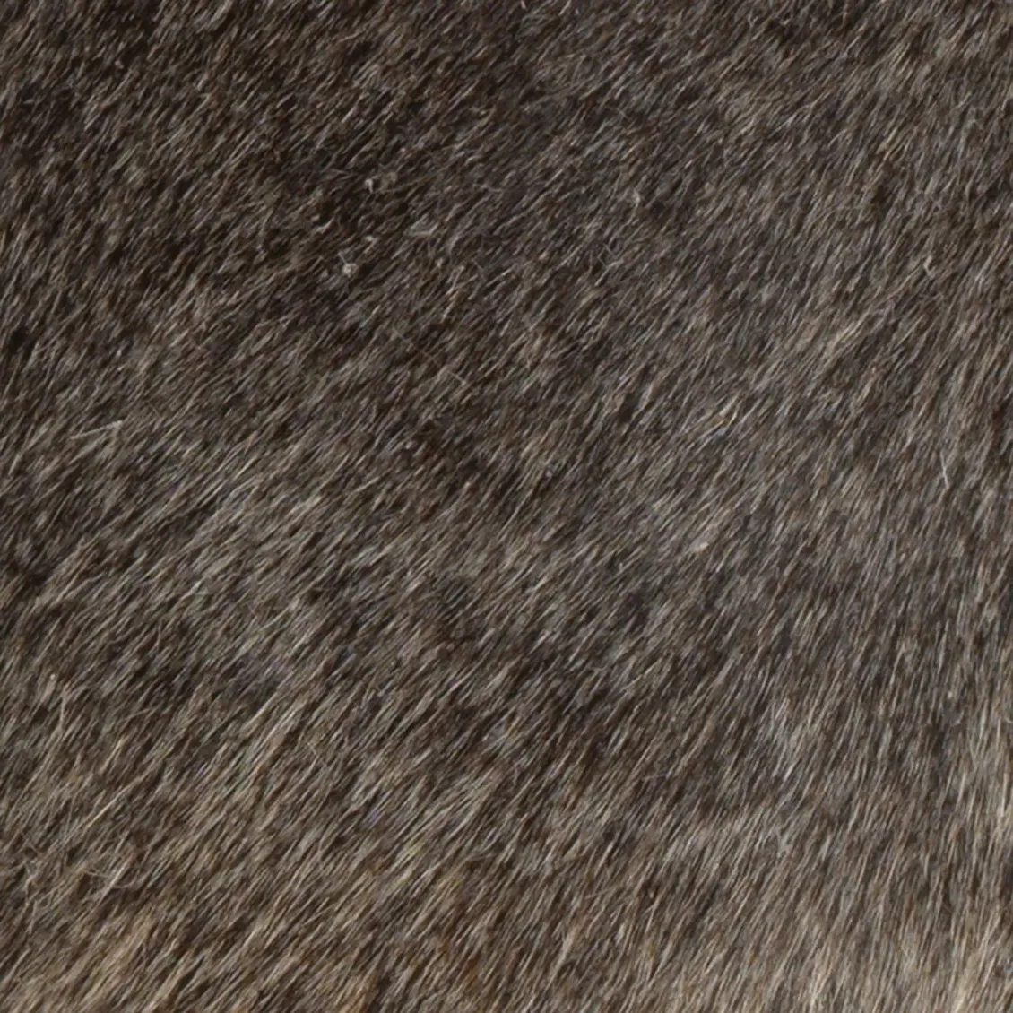 Isaac Cylinder Table Lamp - Grey, Hide