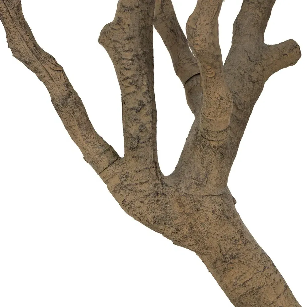 Isolde Wide Potted Olive Tree - Green