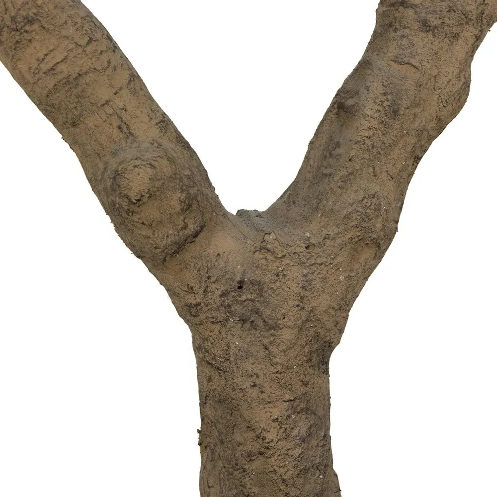 Isolde Wide Potted Olive Tree - Green