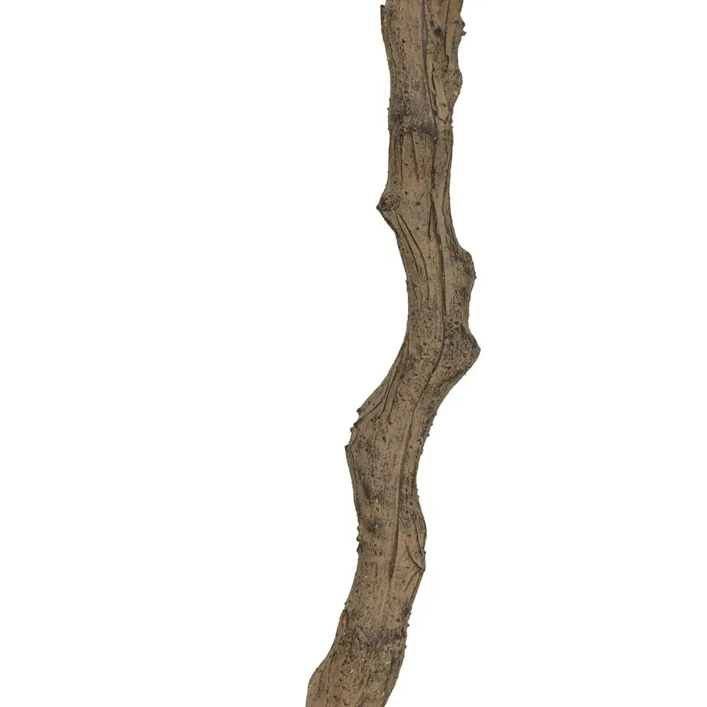 Isolde Wide Potted Olive Tree - Green