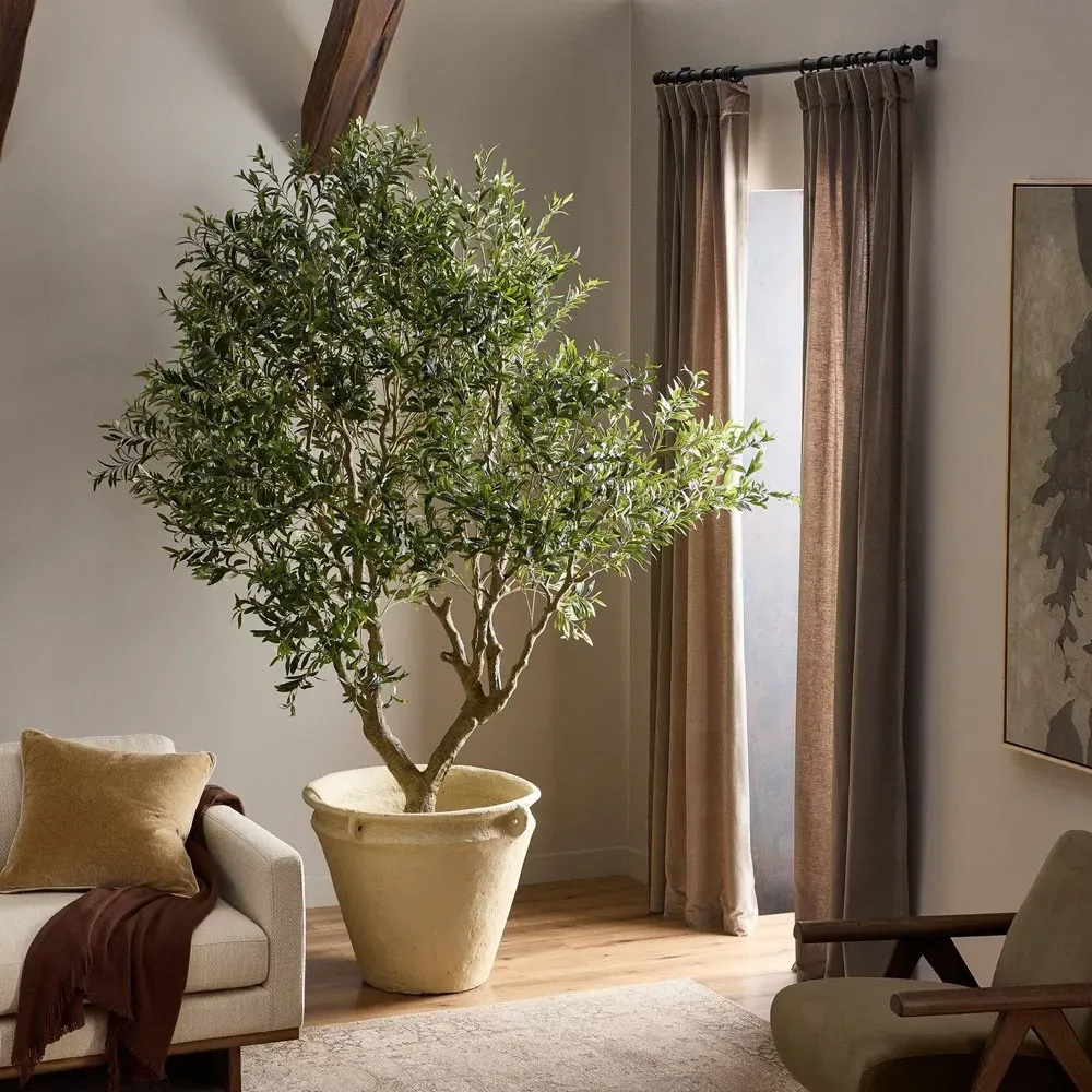 Isolde Wide Potted Olive Tree - Green