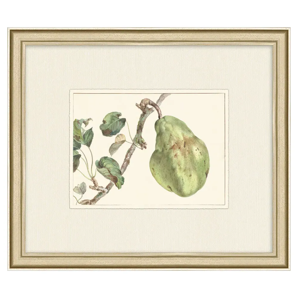 Ivette Fruit Floral Frame Painting - Green, Silver image
