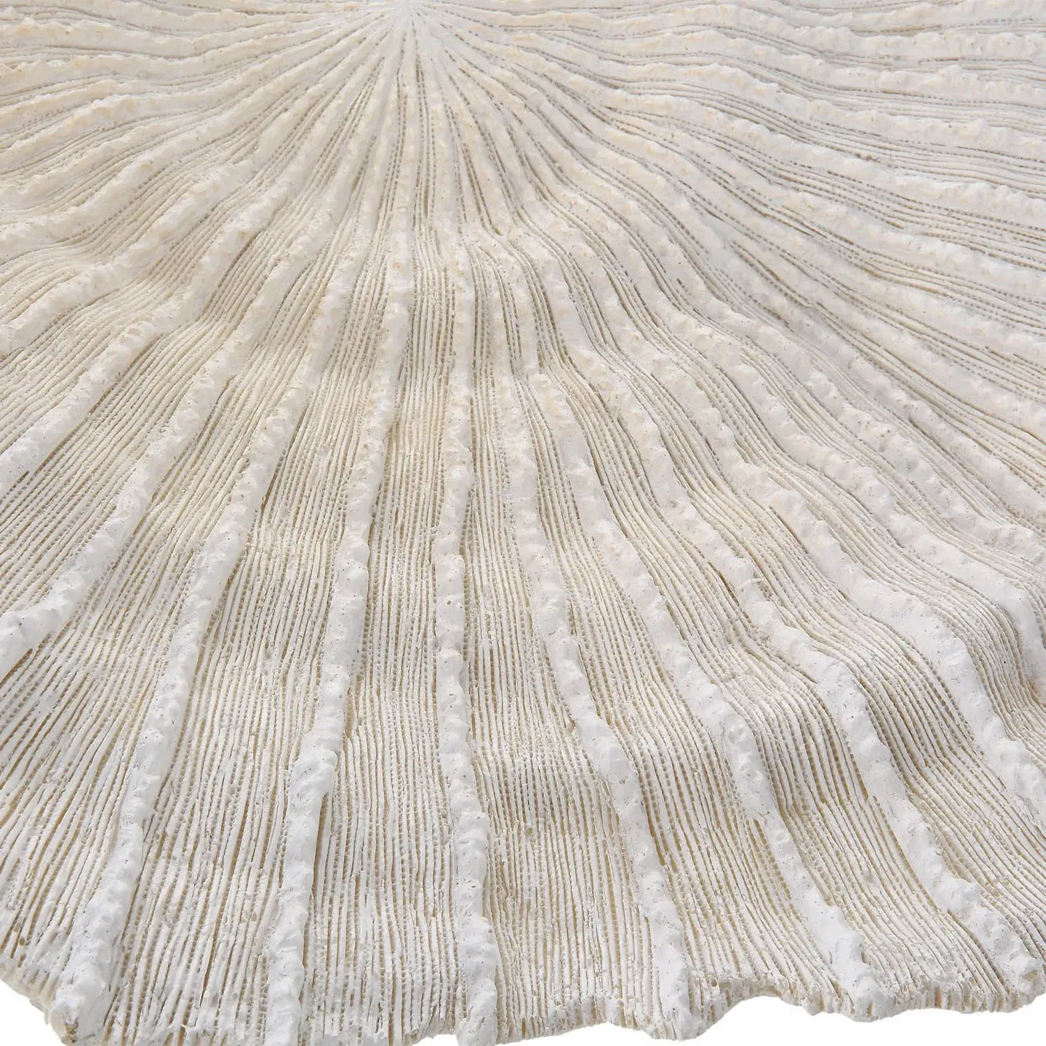 Kaelin Coral Textured Wall Decor Set of 3 - White