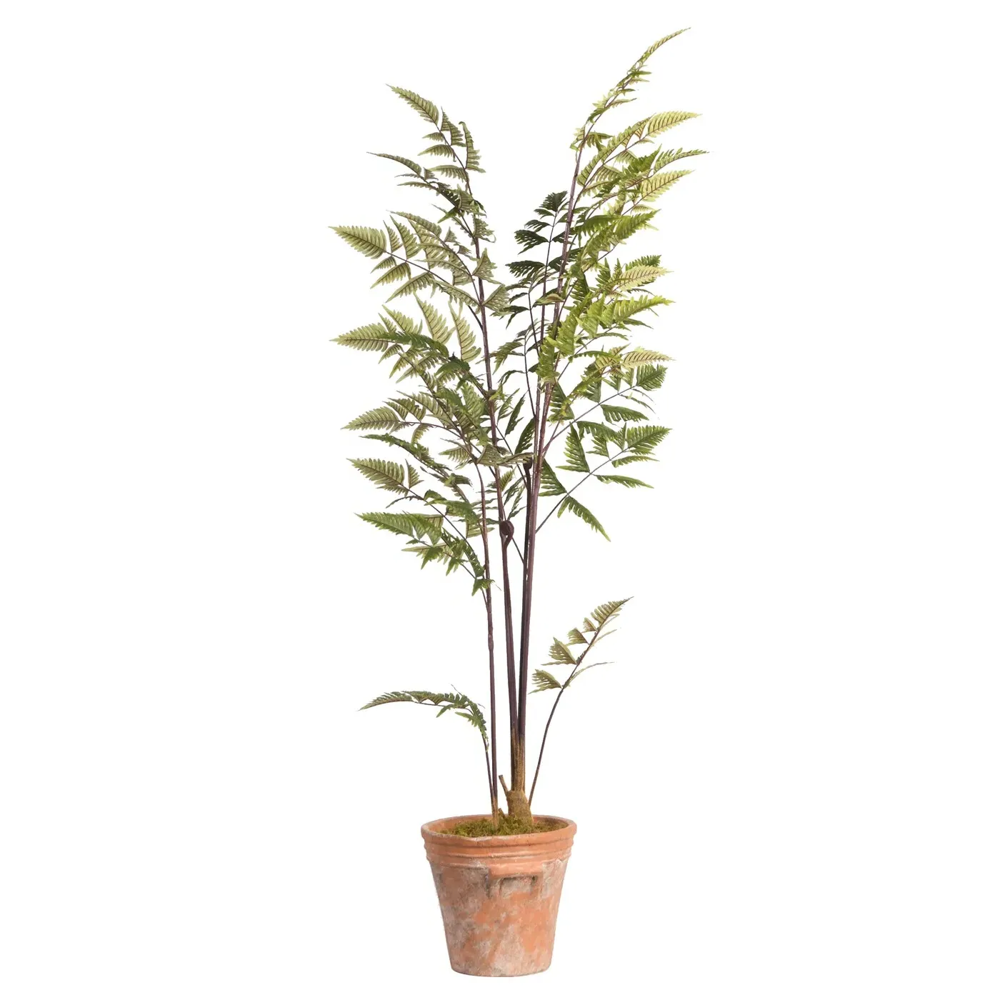 Keaton Fern Planter - Green, Faux Leather image