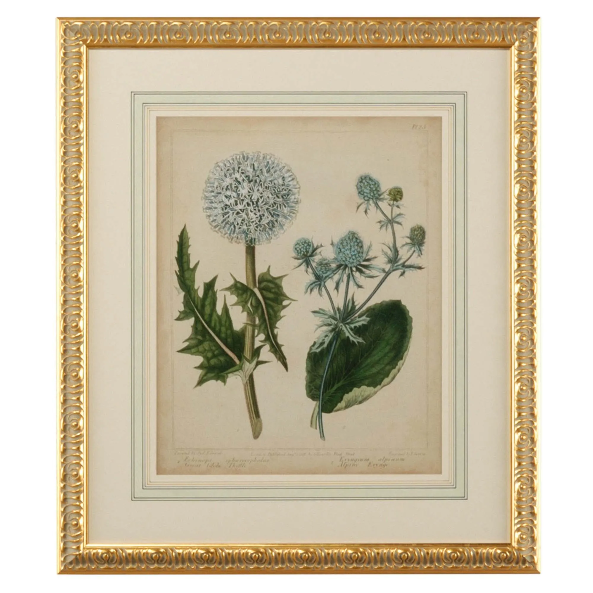Kiana Cottage Florals III Gold Leaf Frame Illustration - Green