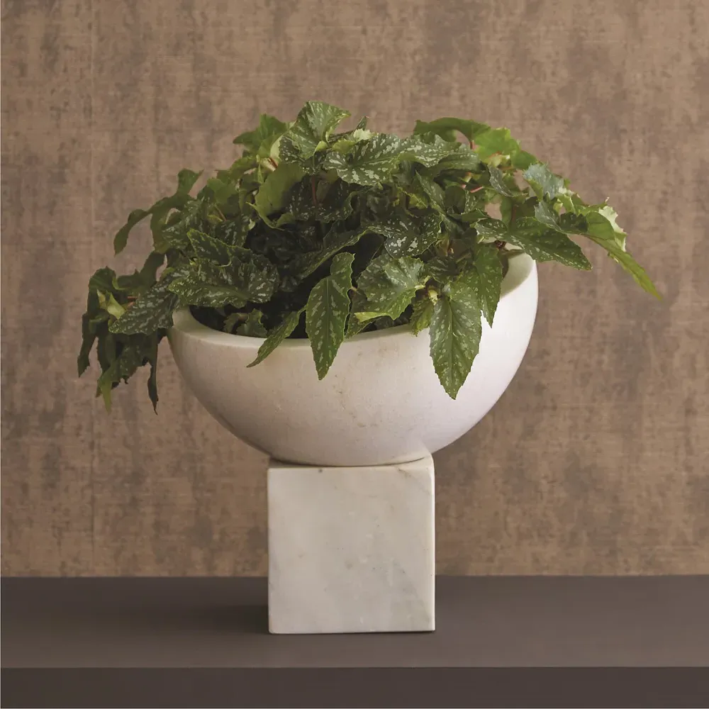 Kira Decorative Footed Bowl - White, Marble