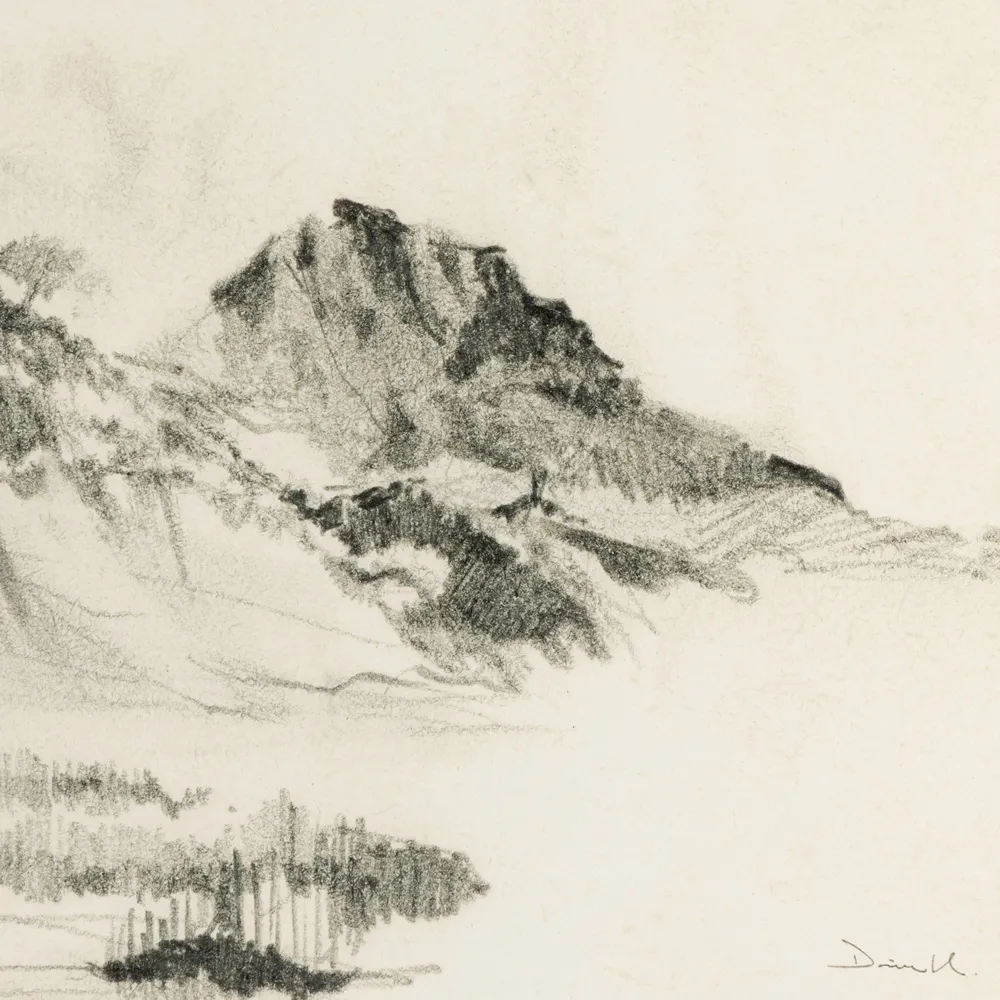 Land Sketch 2 Illustration - Brown, Walnut