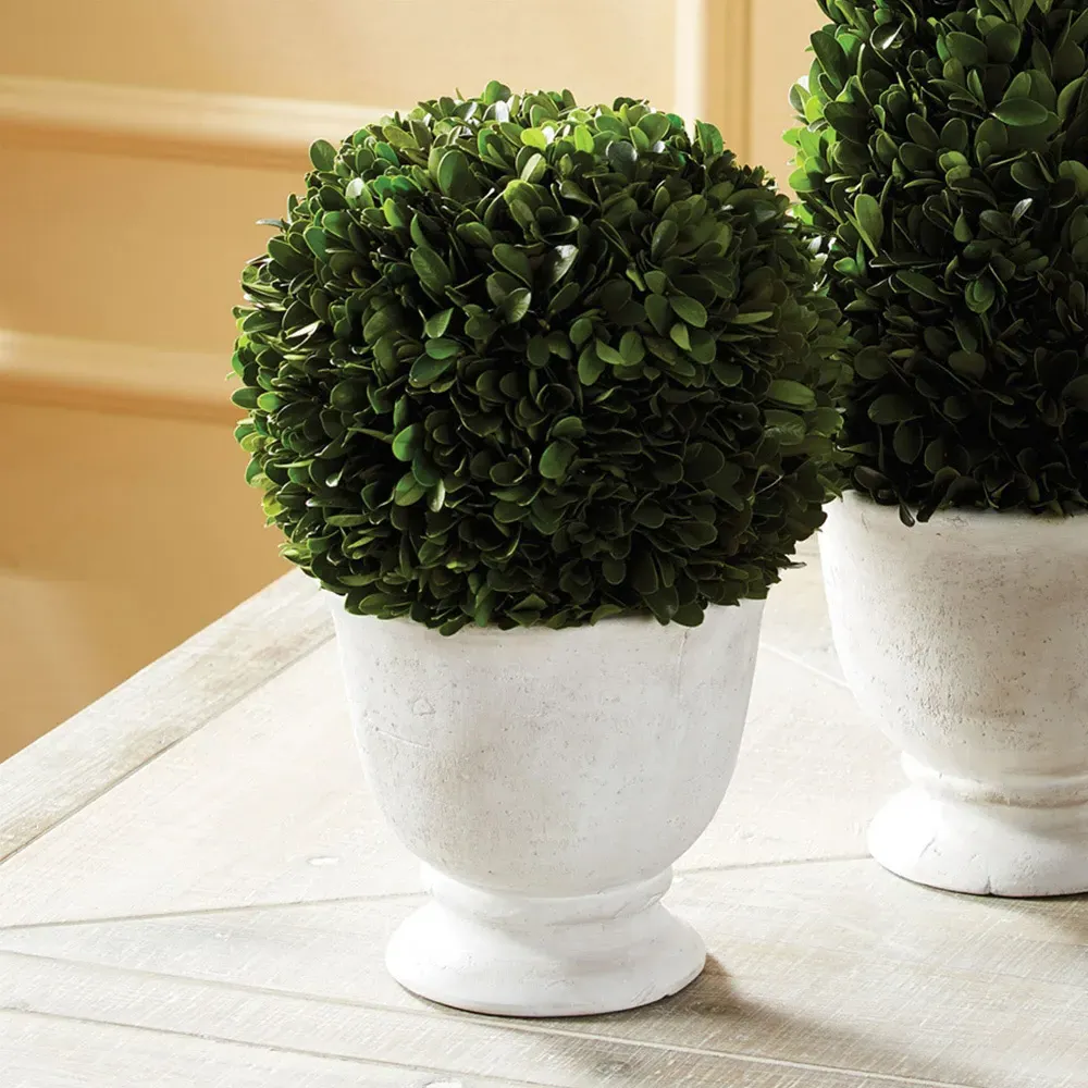 Landon Large Ball Potted Topiary - Green, Boxwood